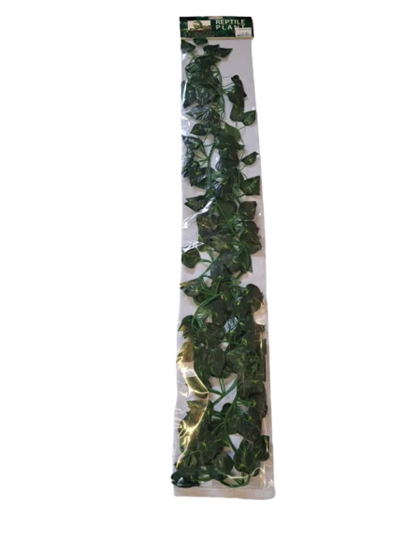 Scindapsus Artificial Terrarium Plant – Pack of 4 Anhui Hefei Hongjia Co Ltd