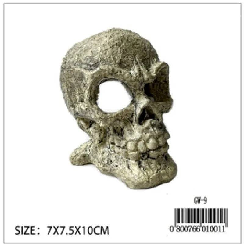 Skull Reptile Décor