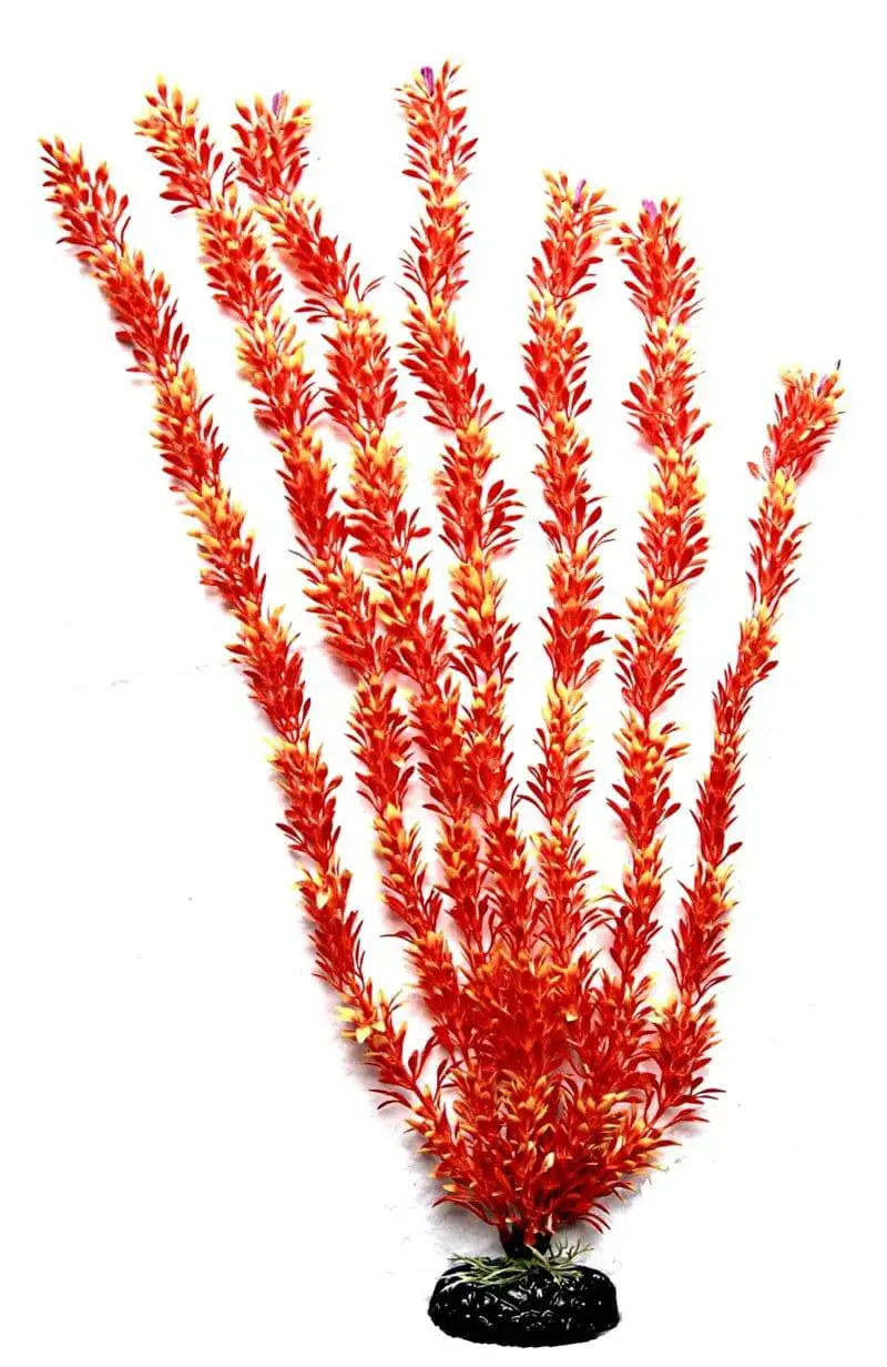 Sunny Aquarium Plastic Plant AP-044D 22 Inch Anhui Hefei Hongjia Co Ltd