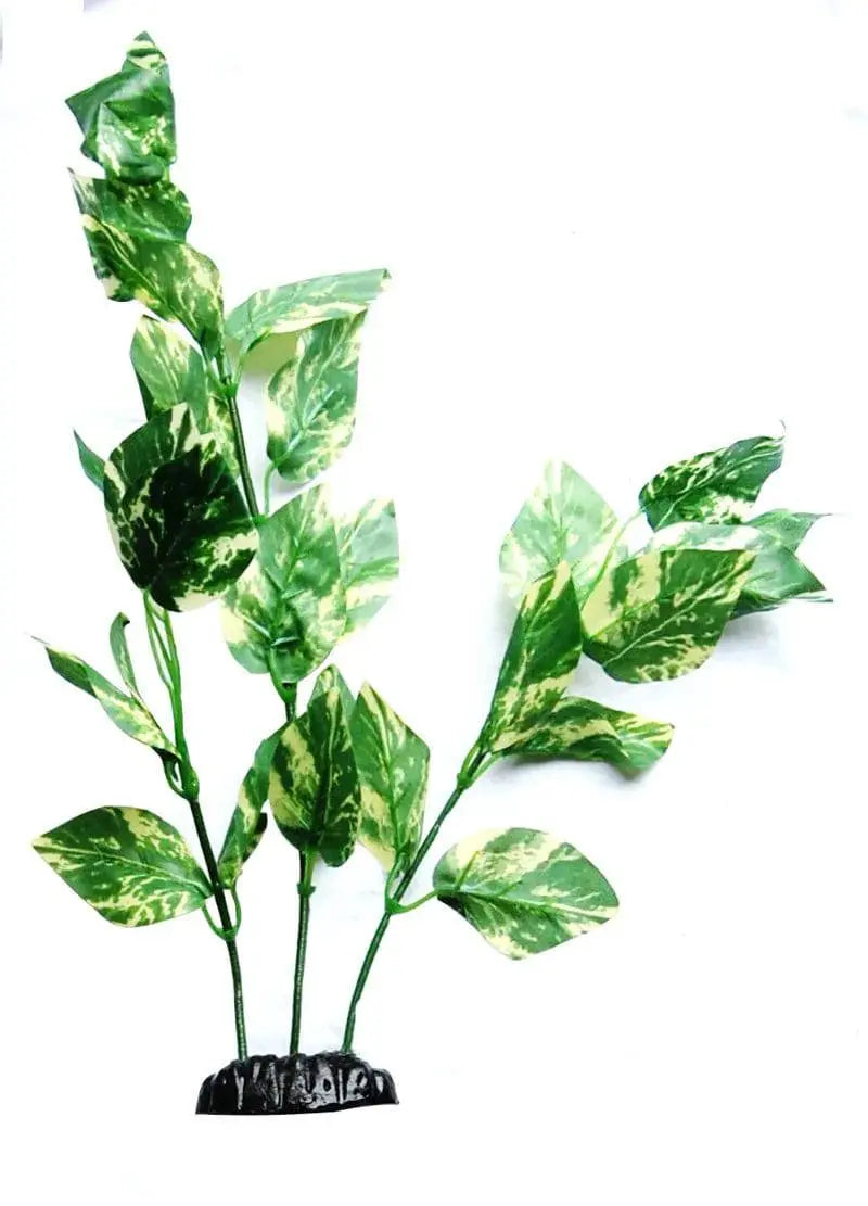 Sunny Aquarium Silk Plant APS-021 12" – Realistic & Low Maintenance Anhui Hefei Hongjia Co Ltd