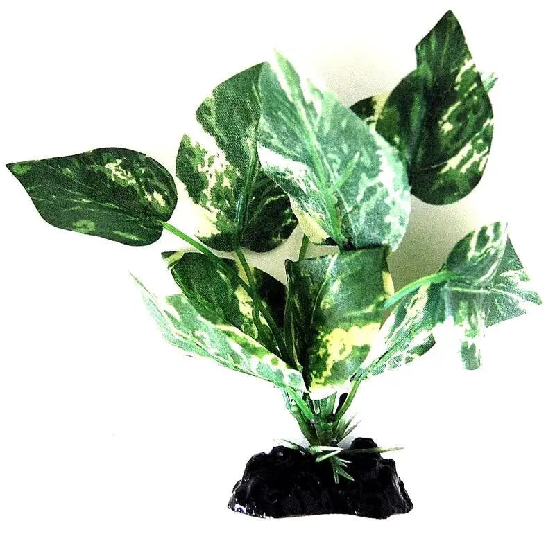 Sunny Aquarium Silk Plant APS-021 4 Inch Anhui Hefei Hongjia Co Ltd