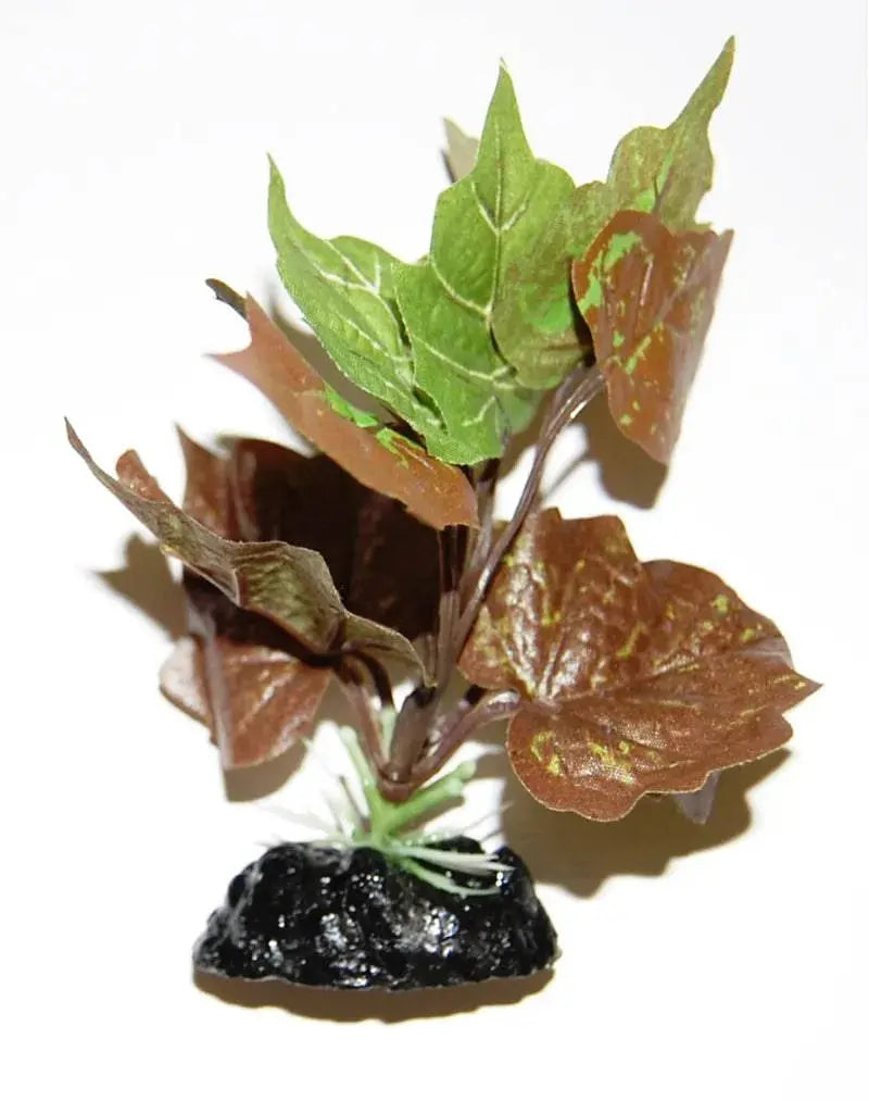 Sunny Aquarium Silk Plant APS-022 4 Inch Anhui Hefei Hongjia Co Ltd