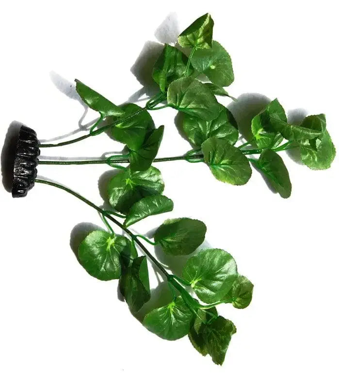 Sunny Aquarium Silk Plant APS-024 12 Inch Anhui Hefei Hongjia Co Ltd
