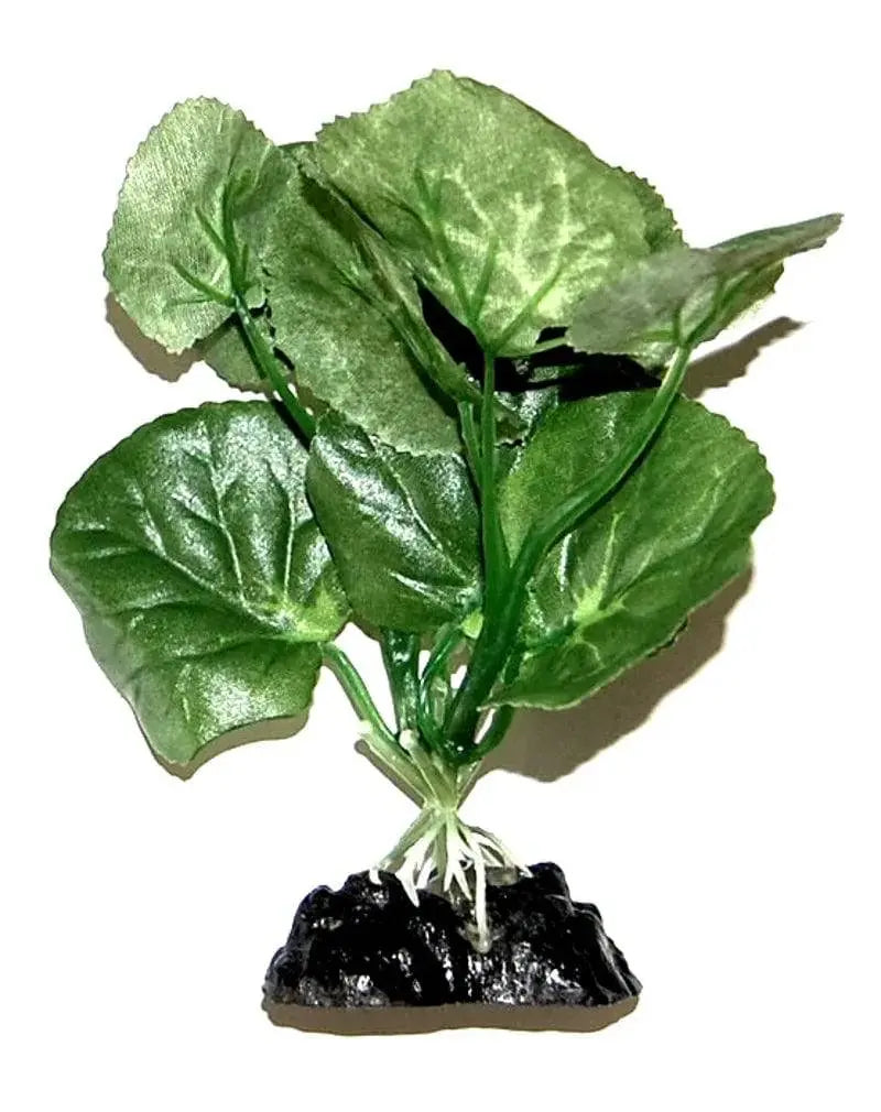 Sunny Aquarium Silk Plant APS-024 4 Inch Anhui Hefei Hongjia Co Ltd