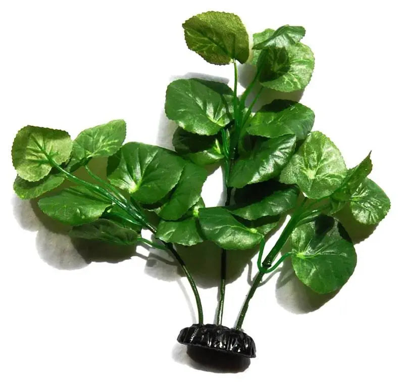 Sunny Aquarium Silk Plant APS-024 8 Inch Anhui Hefei Hongjia Co Ltd