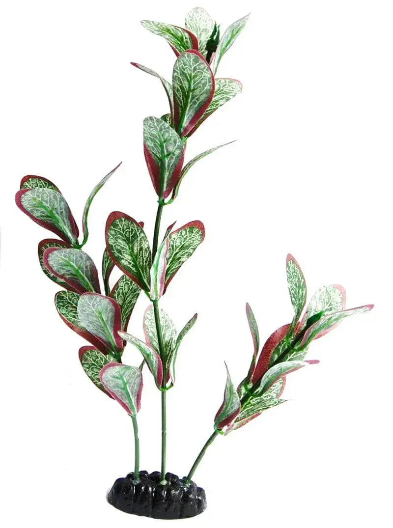 Sunny Aquarium Silk Plant APS-026 12 Inch Anhui Hefei Hongjia Co Ltd