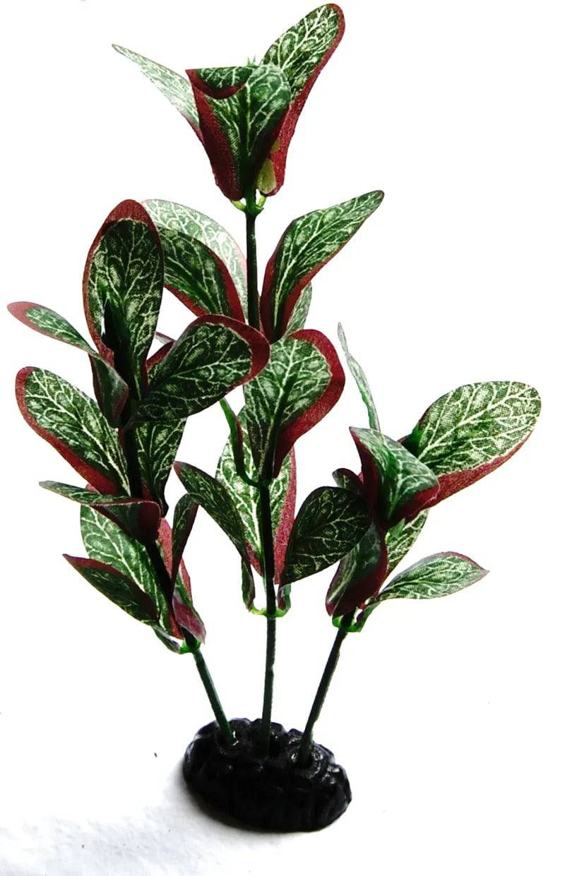 Sunny Aquarium Silk Plant APS-026 8 Inch