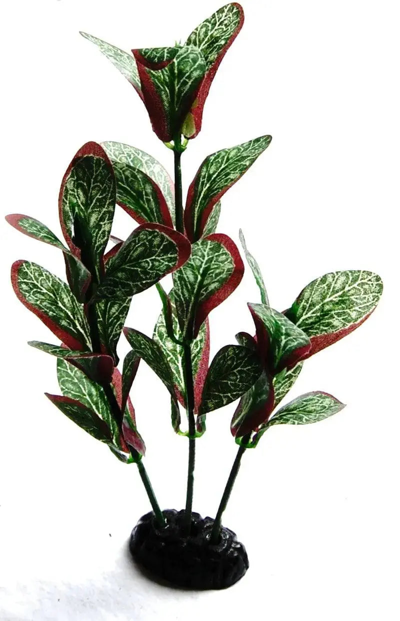 Sunny Aquarium Silk Plant APS-026 8 Inch Anhui Hefei Hongjia Co Ltd