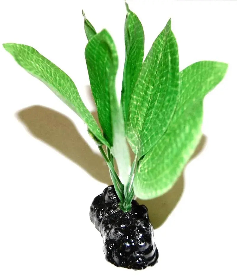 Sunny Aquarium Silk Plant APS-027 4 Inch Anhui Hefei Hongjia Co Ltd