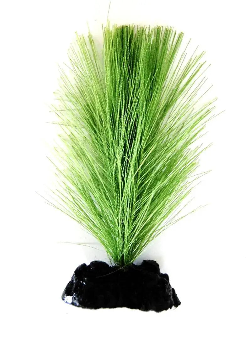 Sunny Aquarium Silk Plant APS-036 4 Inch Anhui Hefei Hongjia Co Ltd