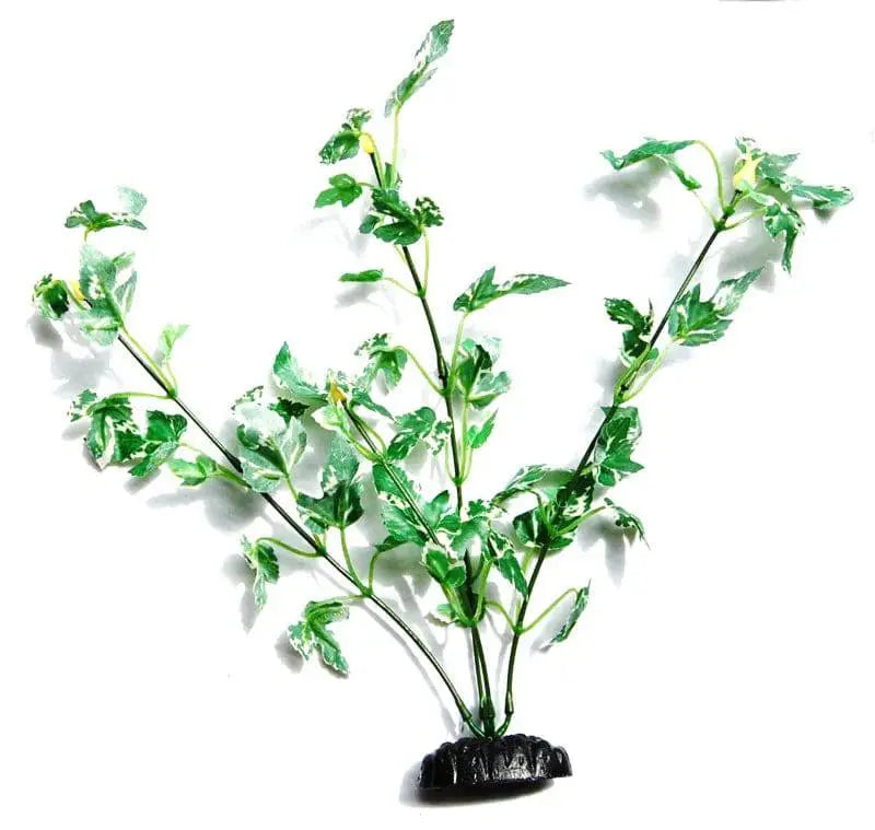 Sunny Aquarium Silk Plant APS-107 12 Inch Anhui Hefei Hongjia Co Ltd