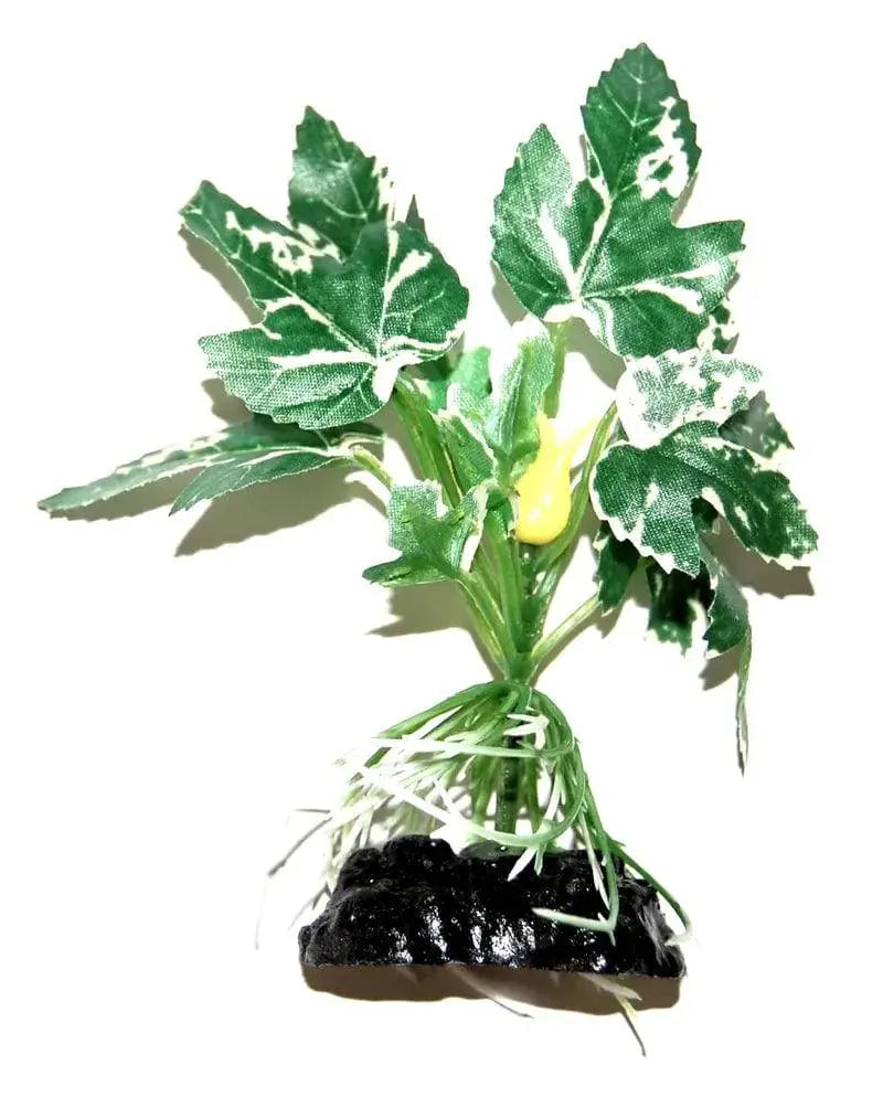 Sunny Aquarium Silk Plant APS-107 4 Inch Anhui Hefei Hongjia Co Ltd