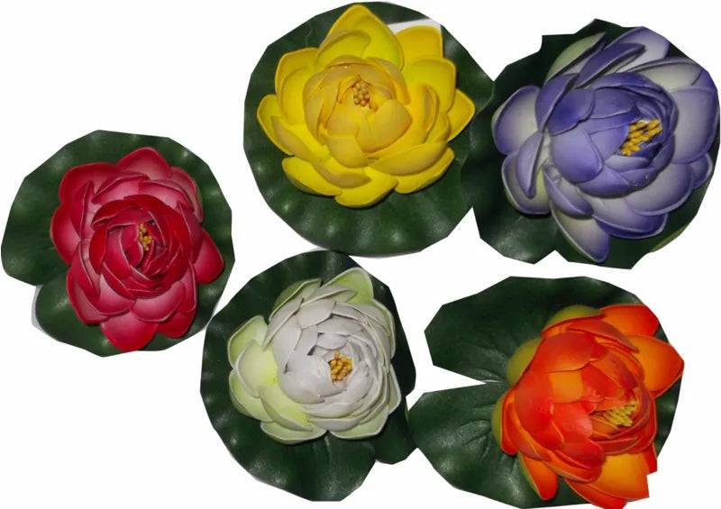 Water Lily Small Anhui Hefei Hongjia Co Ltd