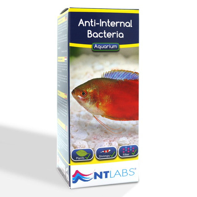 NT Labs Anti-Internal Bacteria Aquarium Treatment 100ml Nt Labs