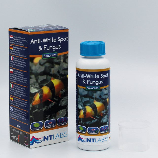 NT Labs Anti-White Spot & Fungus 100ml – 7-Day Fish Treatment Nt Labs