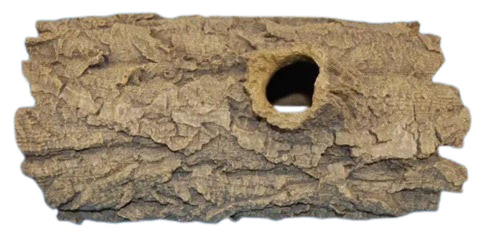 Aquarium Artificial Cork Bark Ornament 31cm Anhui Hefei Hongjia Co Ltd