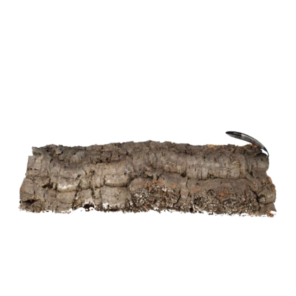 ProRep Cork Bark Flat X-Large Peregrine Livefoods Ltd
