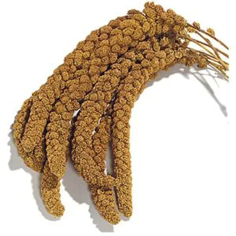 Millet Sprays 500gm Bearts Of Stowbridge