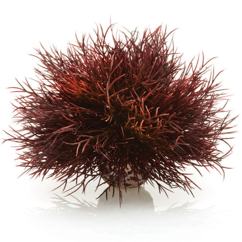 biOrb Crimson Sea Lily Aquarium Decoration