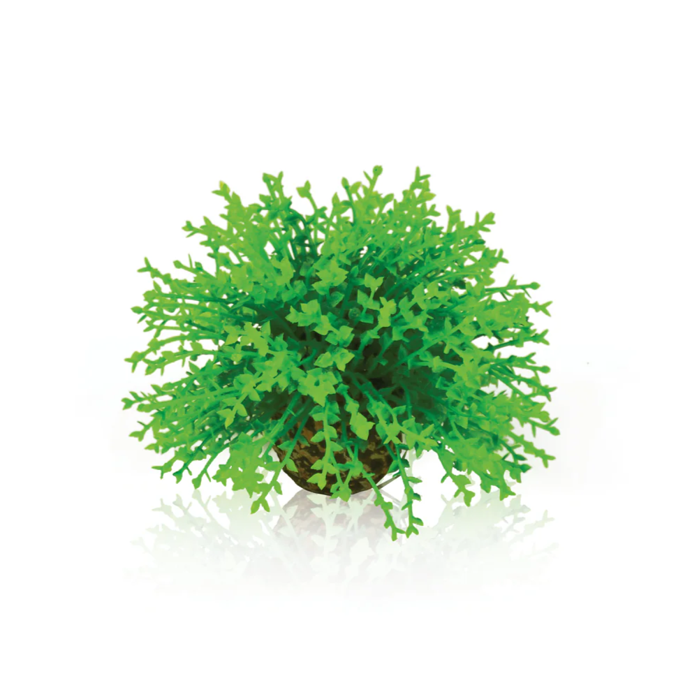 biOrb Green Topiary Ball Aquarium Decoration