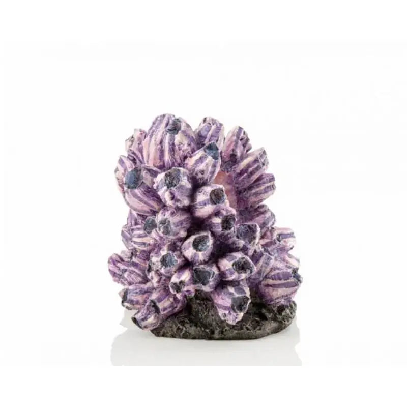 biOrb Barnacle Ornament Biorb