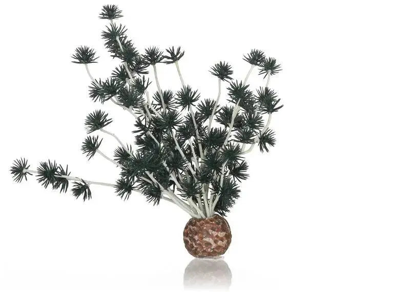 biOrb Bonsai Ball Black Biorb