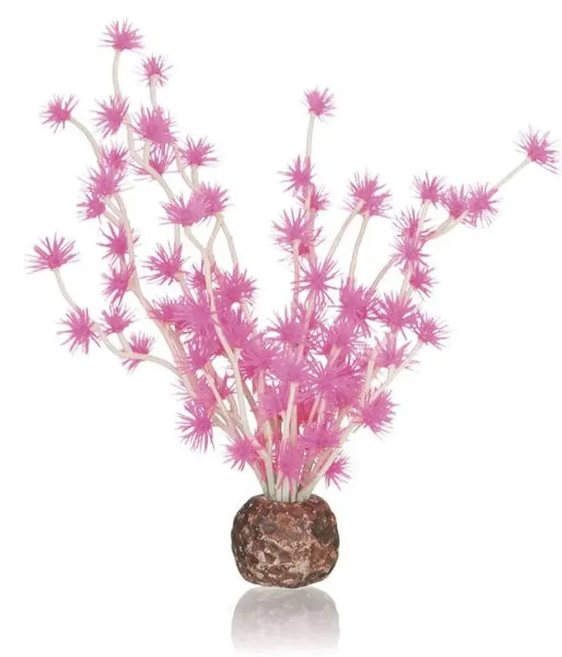 biOrb Bonsai Ball Pink Biorb
