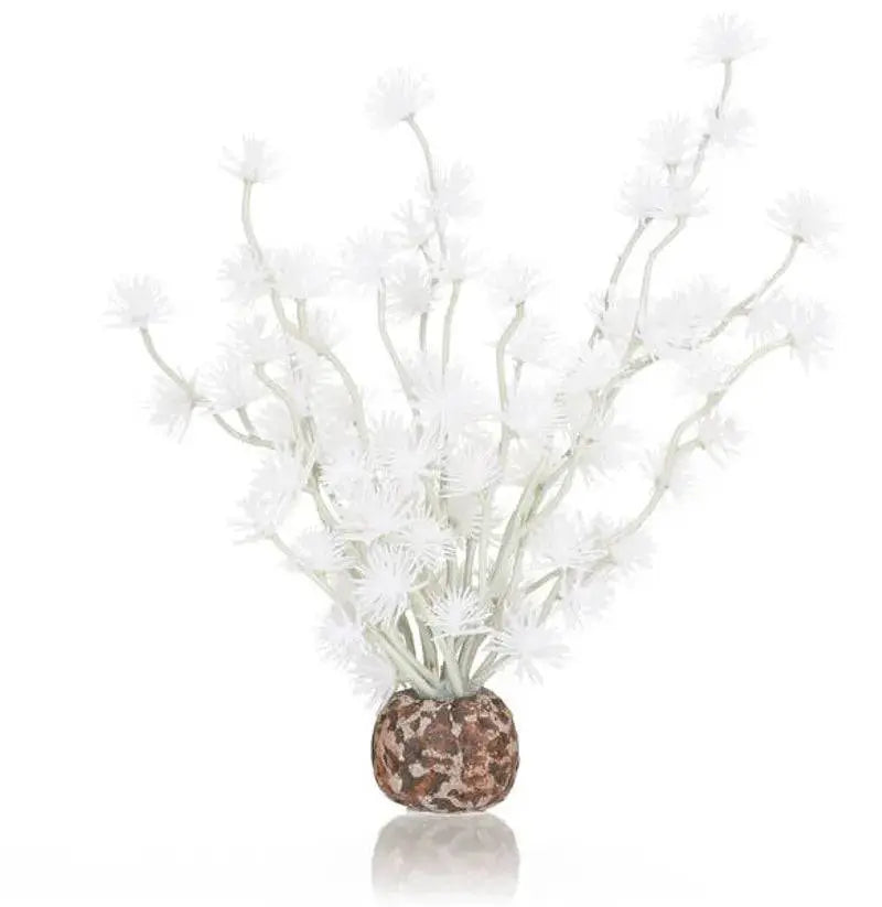 biOrb Bonsai Ball White Biorb