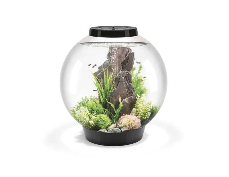 biOrb Classic 60 Litre Aquarium Black with Multi Colour Remote 2020.