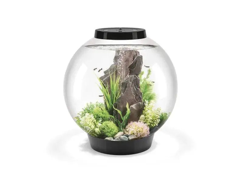 biOrb Classic 60 Litre Aquarium Black with Multi Colour Remote 2020. Biorb
