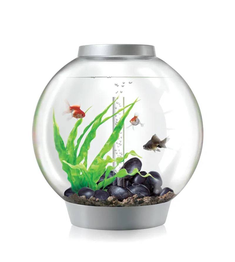 biOrb Classic 60 Litre Aquarium White with Multi Colour Remote 2020.