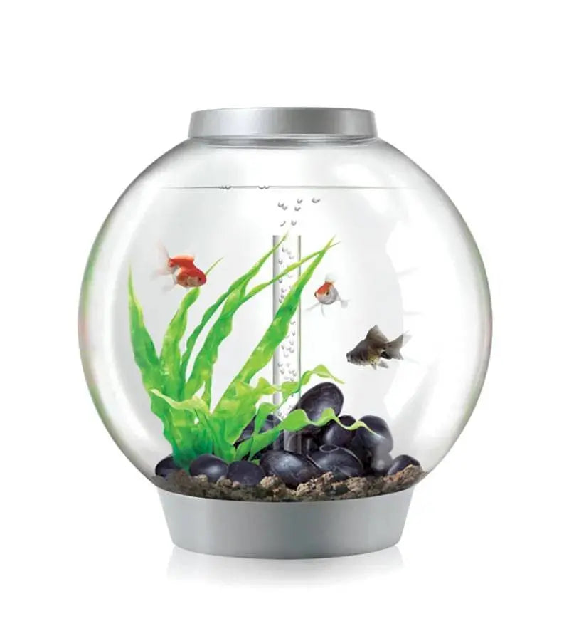 biOrb Classic 60 Litre Aquarium White with Multi Colour Remote 2020. Biorb