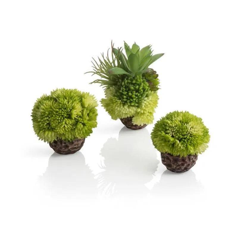 biOrb coral ball set green Biorb