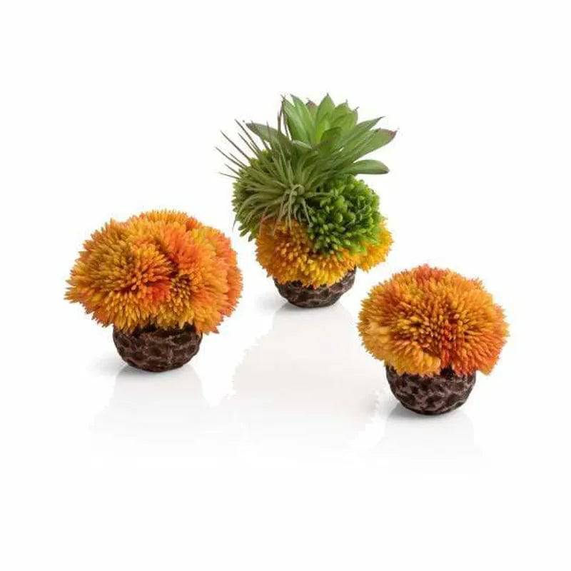biOrb coral ball set orange Biorb