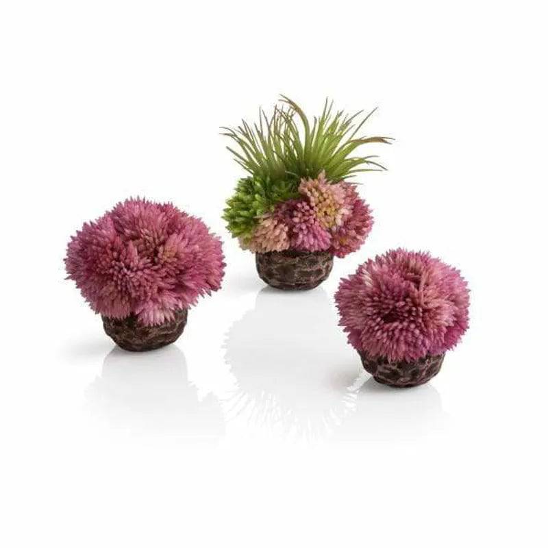 biOrb Coral Ball Set Purple Biorb