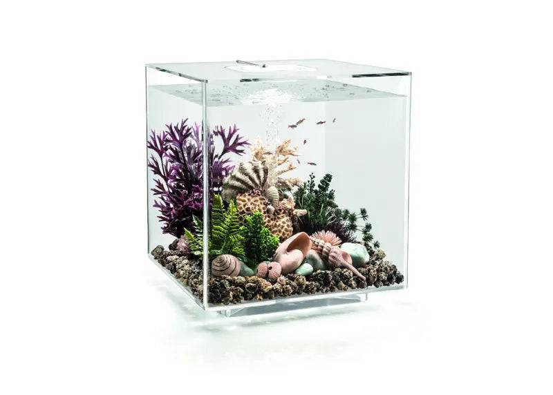 biOrb CUBE 60 Clear MCR New