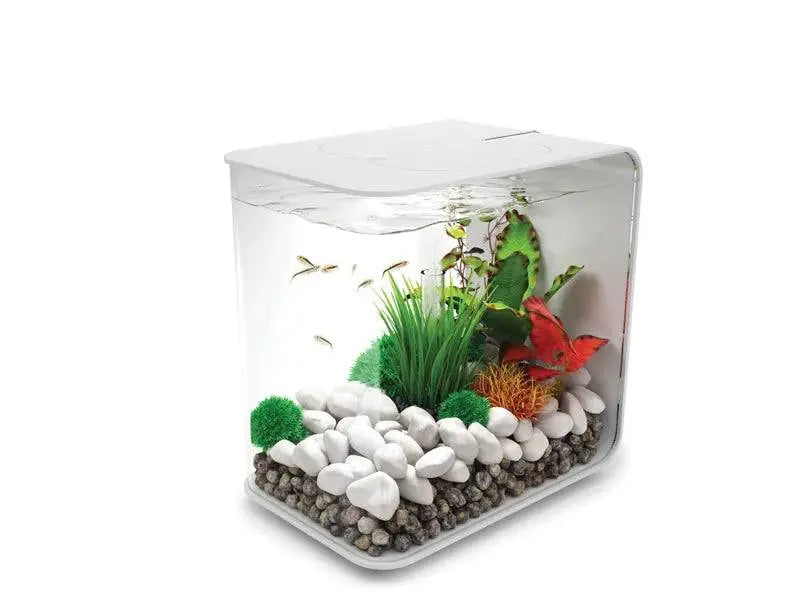 biOrb FLOW 15L Black with Multi Colour Remote 2020. Biorb