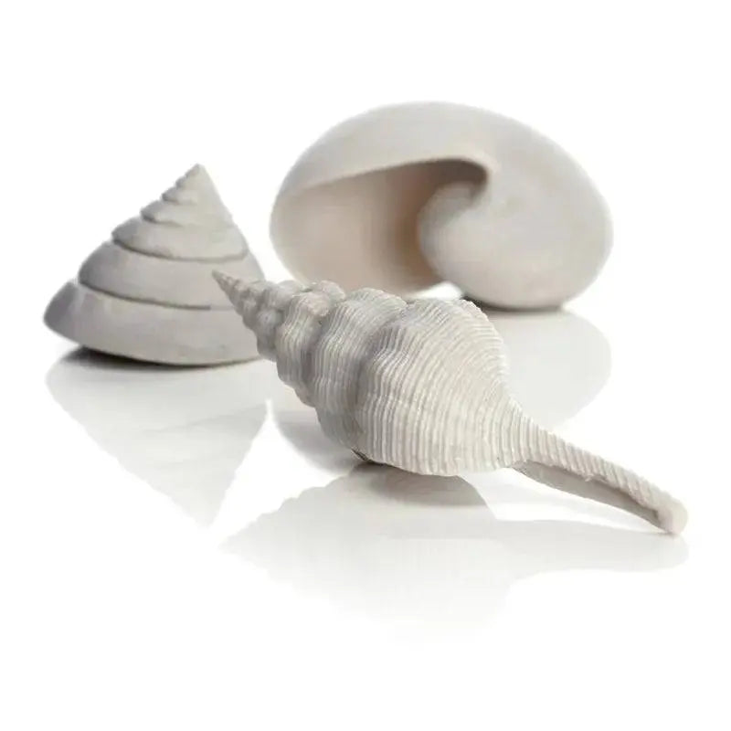 biOrb Natural Sea Shells x3 Biorb