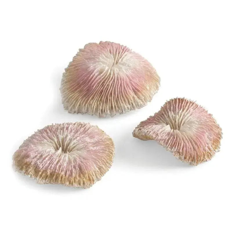 BiOrb Plate Coral Set Biorb
