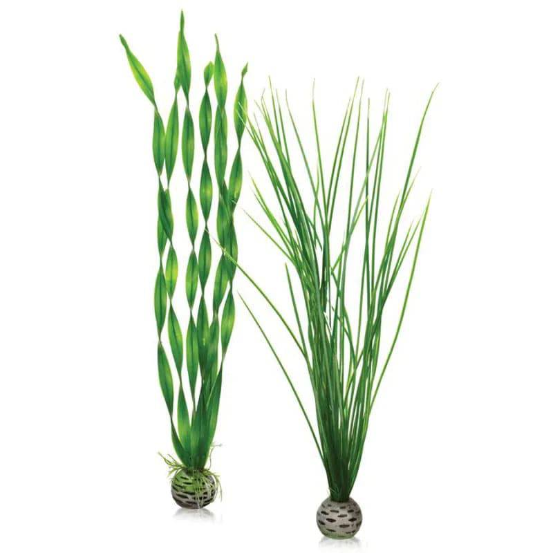 biOrb Easy Plant Set Green Large