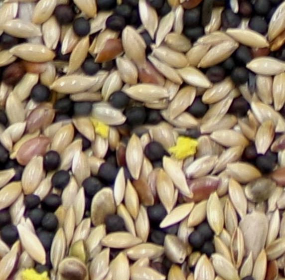 Marriages Canary Food 1kg