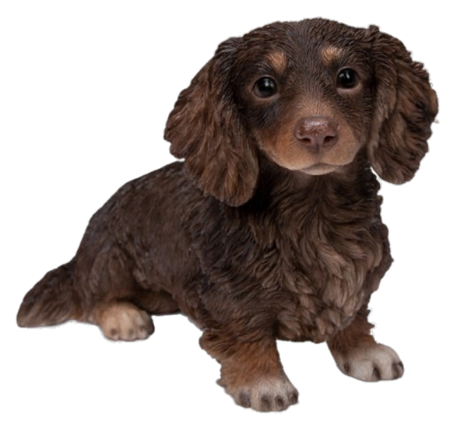 Long Haired Chocolate and Cream Dachshund Ornament by Vivid Arts Vivid Arts