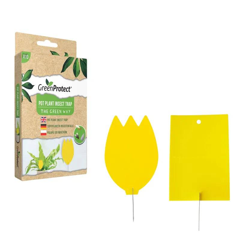 Green Protect Pot Plant Trap Decco Ltd