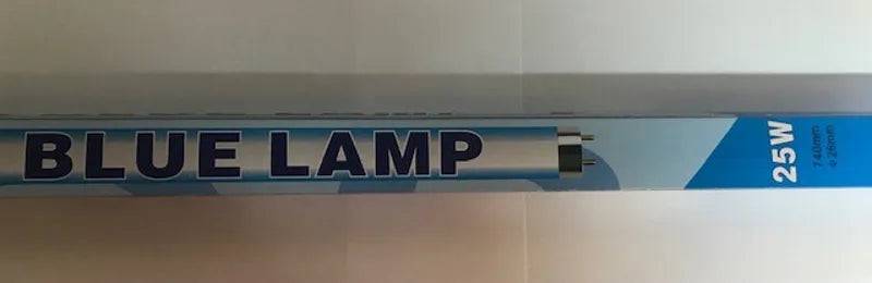Aquarium Blue Lamp 25w 30