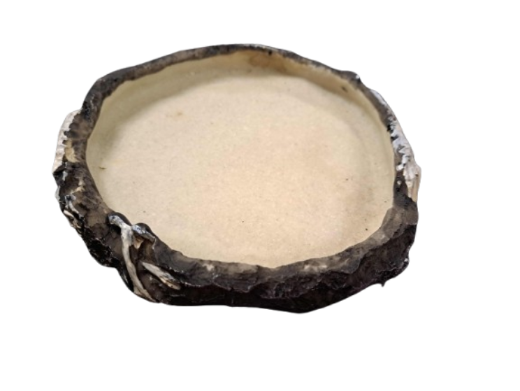 Medium Reptile Dish