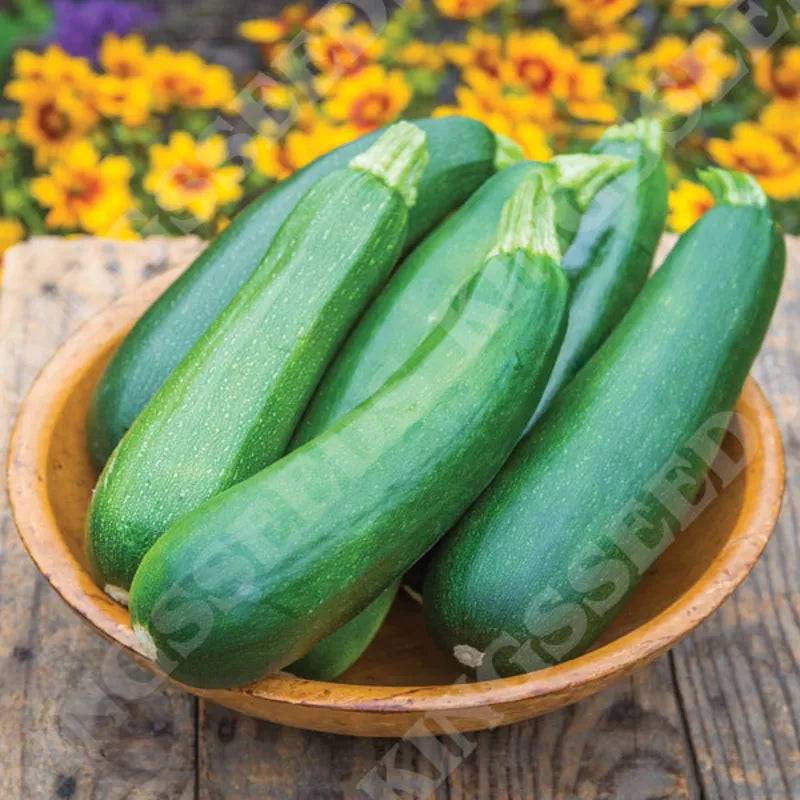 Courgette Sure Thing F1 E.W. King & Co. Ltd.