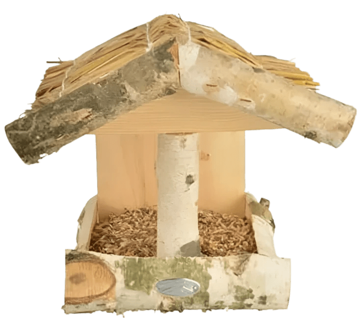 Fallen Fruits Silver Birch Wall Bird Feeder Fallen Fruits