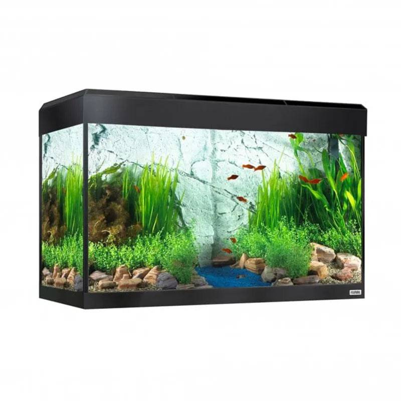 Fluval Roma 125L Black Bluetooth LED Aquarium