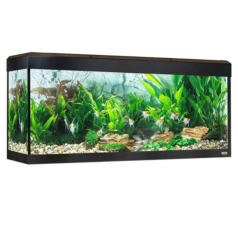 Fluval Roma 240L Black Bluetooth LED Aquarium