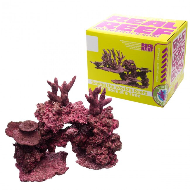 G-10 Real Reef Rock Nano Reef Mix Box (6-8pcs)